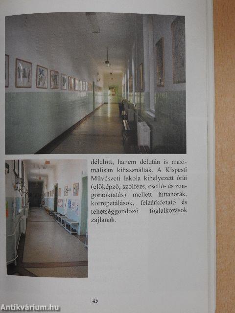 Pannónia emlékkönyv 100