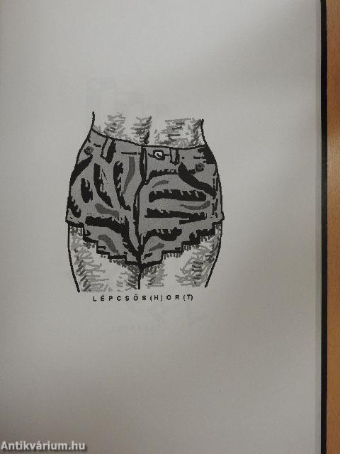 A magyar nyelv értelmező képtára