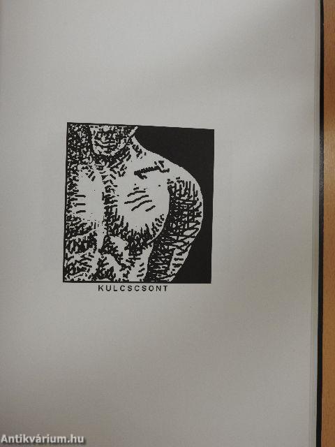 A magyar nyelv értelmező képtára