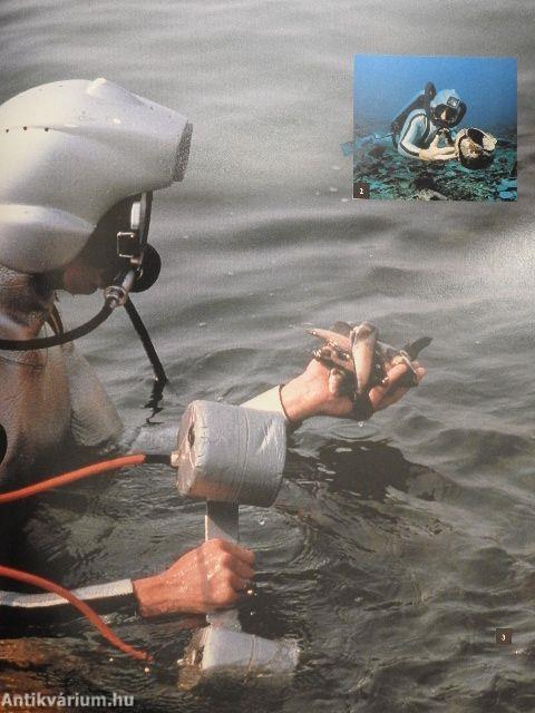 Cousteau kapitány a Calypso fedélzetén