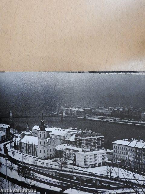Budapesti panorámák