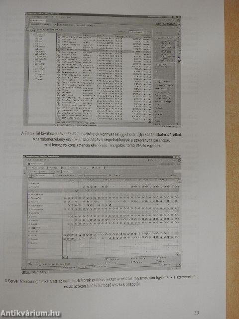 Lotus Notes/Domino R5 Technikai összefoglaló