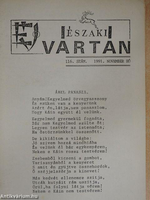 Északi vártán 1991. november