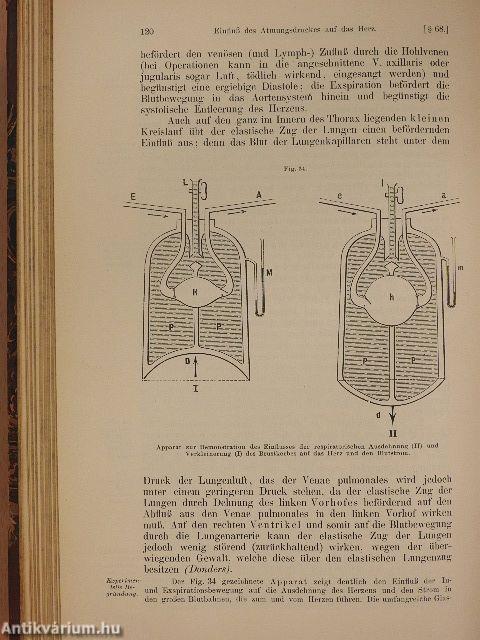 Lehrbuch der Physiologie des Menschen