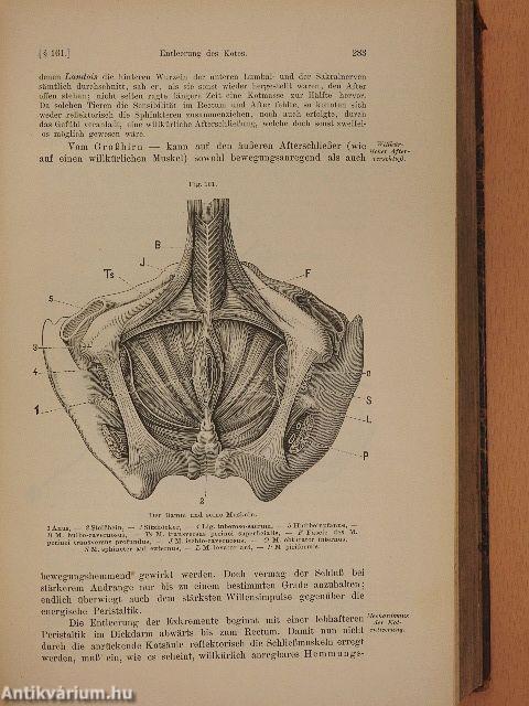 Lehrbuch der Physiologie des Menschen