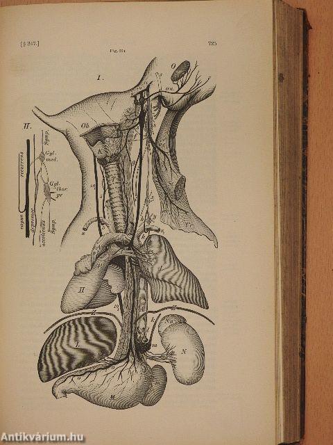 Lehrbuch der Physiologie des Menschen