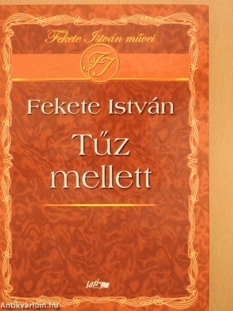 Tűz mellett (dedikált példány)