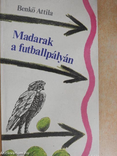 Madarak a futballpályán
