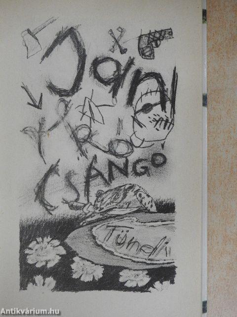 Madarak a futballpályán
