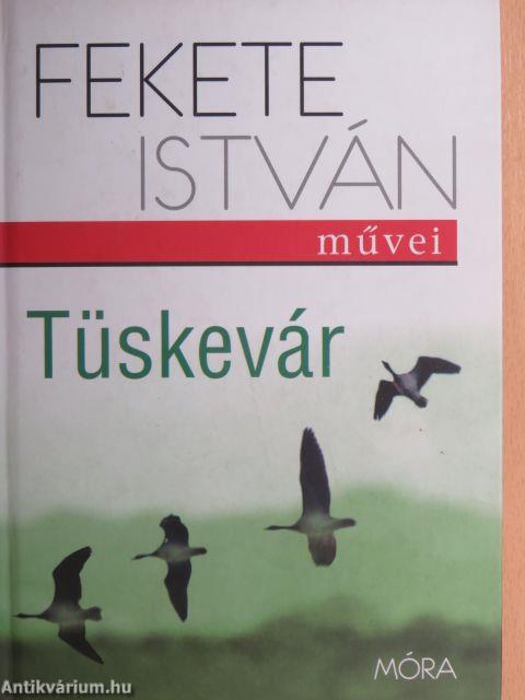 Tüskevár