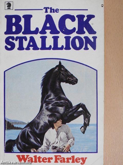 The Black Stallion