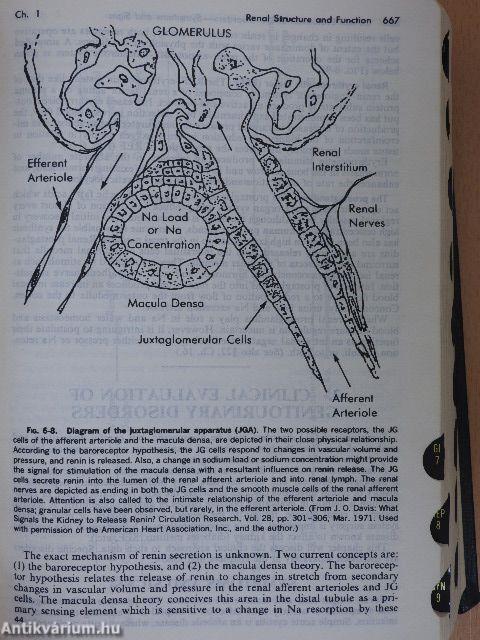The Merck Manual of Diagnosis and Therapy