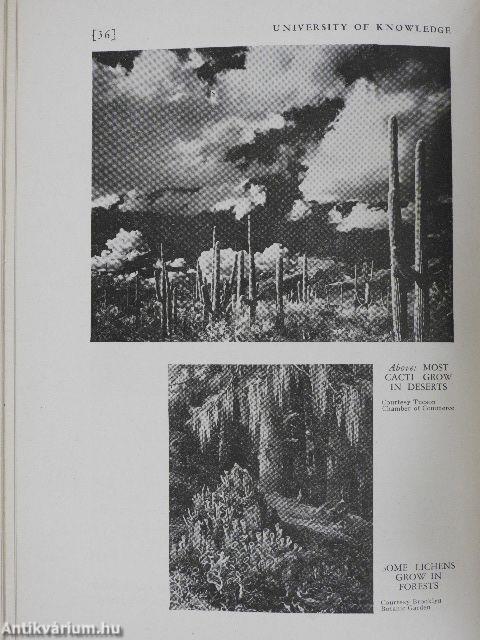 Living Plants - Marvels of Nature