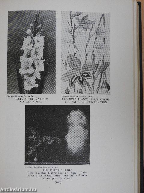 Living Plants - Marvels of Nature