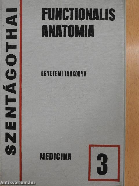 Functionalis anatomia 3.