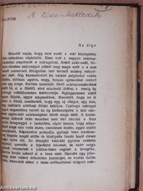 Bevezetés a zenekultúrába/Te csak pipálj Ladányi/A tizenkettedik