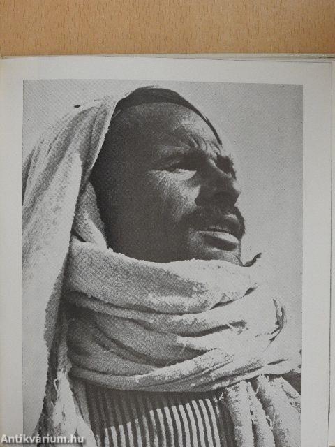 Martsa Alajos munkássága