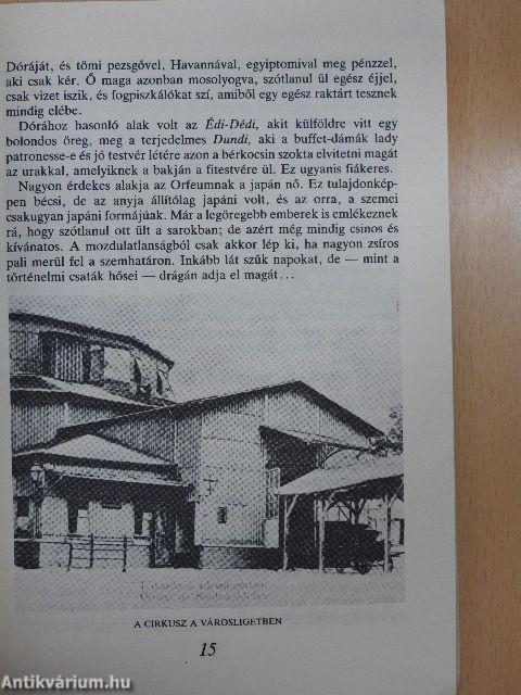 Asszonyok, lányok évkönyve 1988