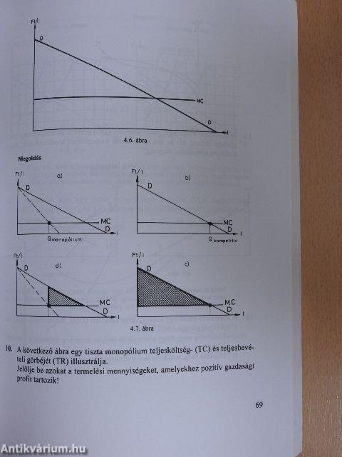 Mikroökonómiai példatár és feladatgyűjtemény