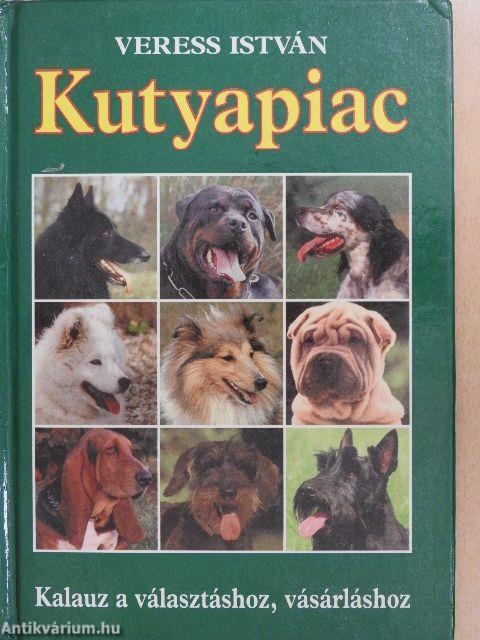 Kutyapiac