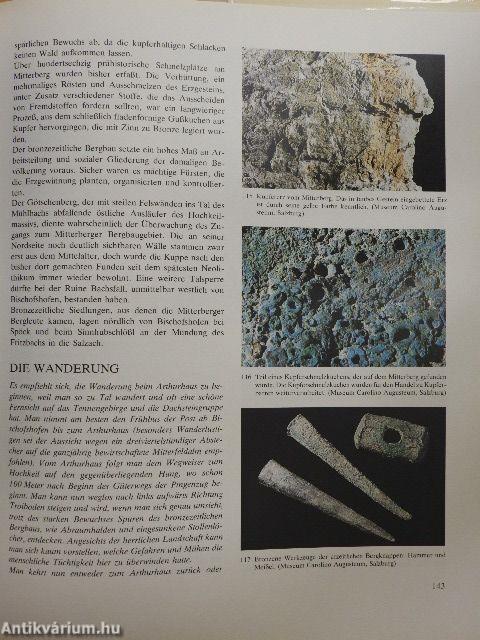 Archaeologie In Oesterreich