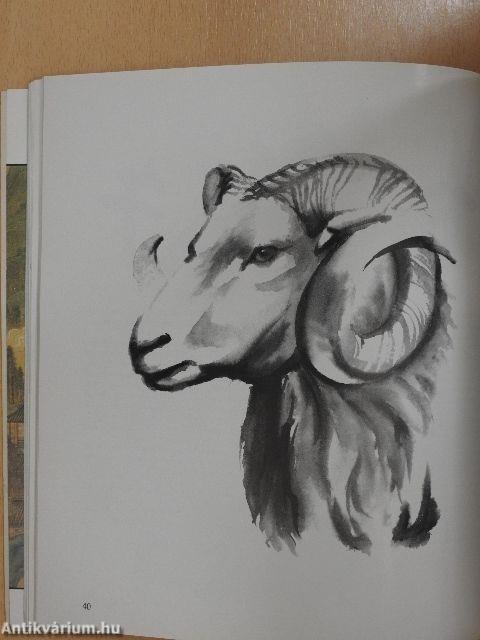 Személyes feng shui tanácsadó