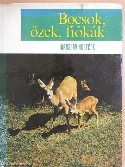 Bocsok, őzek, fiókák