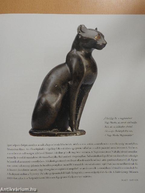 Szépművészeti múzeum