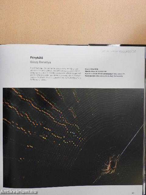 Az év természetfotói Magyarország 2011