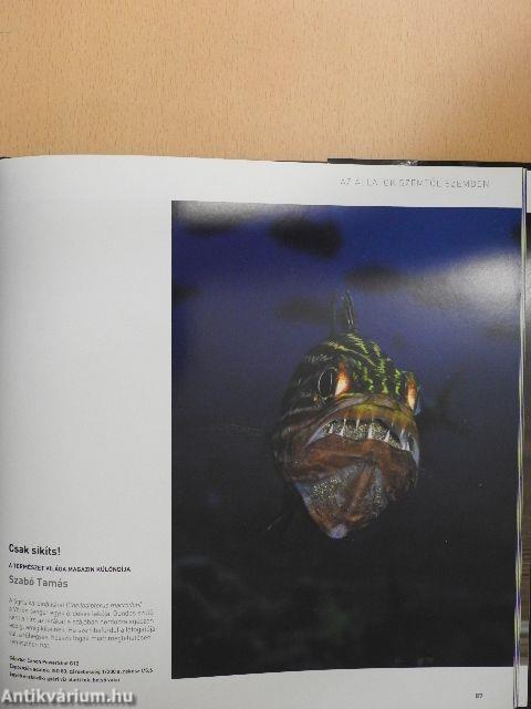 Az év természetfotói Magyarország 2011