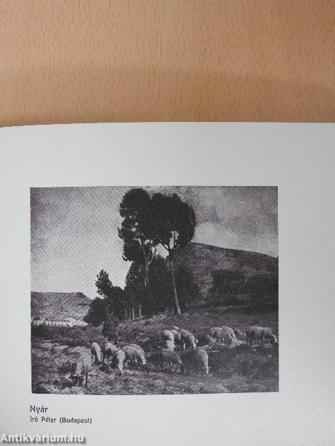 Az amatőr foto almanachja 1908.