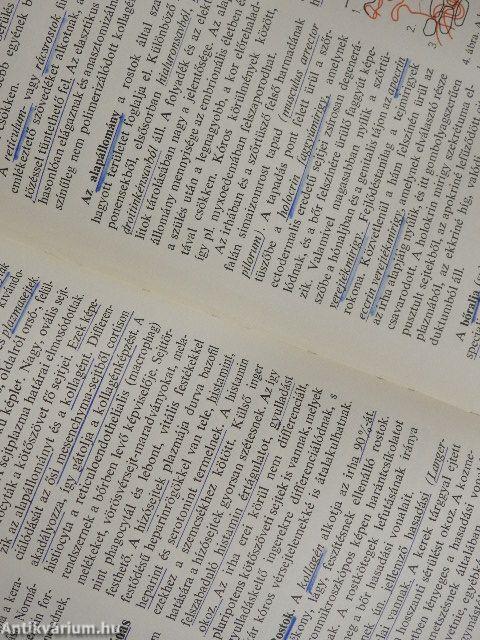 Bőr- és nemi betegségek