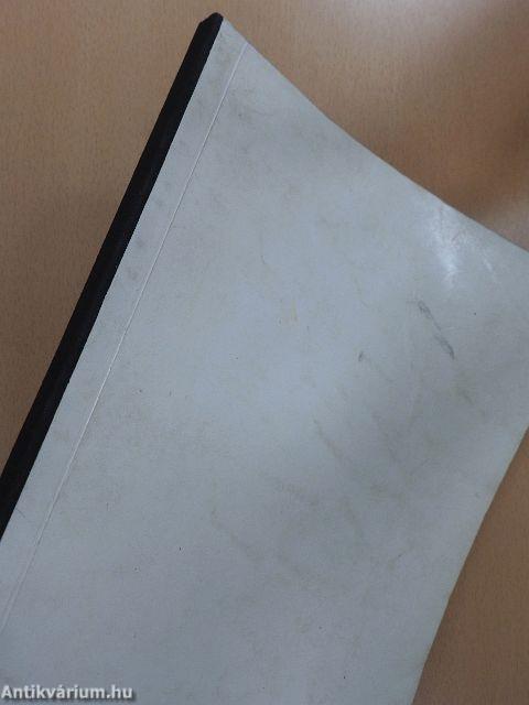 Honfoglalás- és államalapításkori temetők az Ipoly mentén