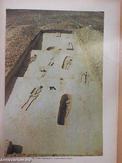 Honfoglalás- és államalapításkori temetők az Ipoly mentén