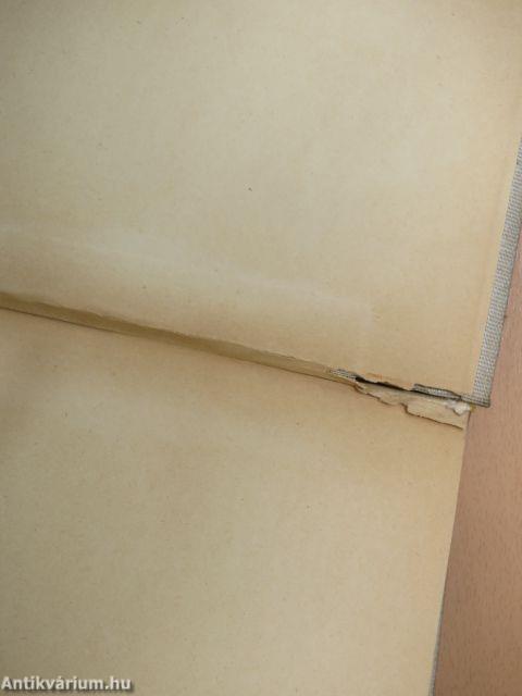 Nézz körül a Földön