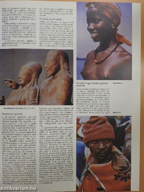 Pannon Enciklopédia - Magyar nyelv és irodalom