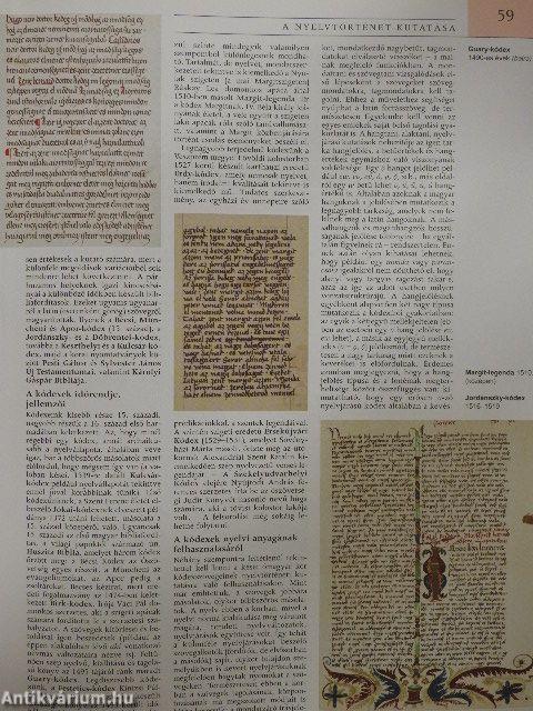 Pannon Enciklopédia - Magyar nyelv és irodalom