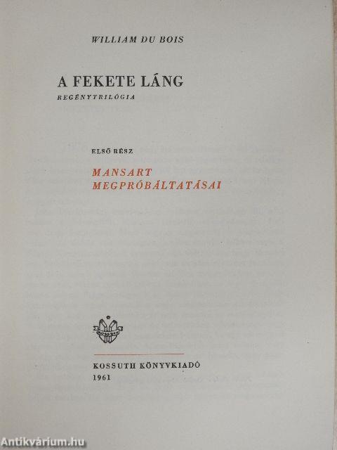 A fekete láng I.