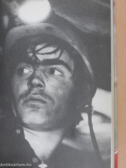 Holtomiglan? Holtodiglan?