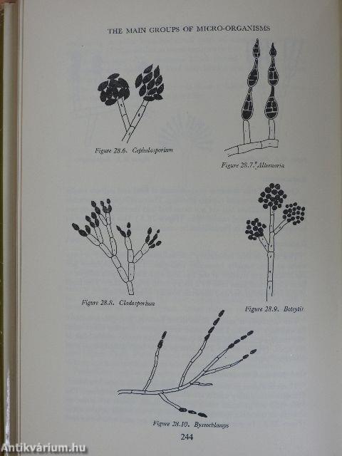 Microbiological Methods