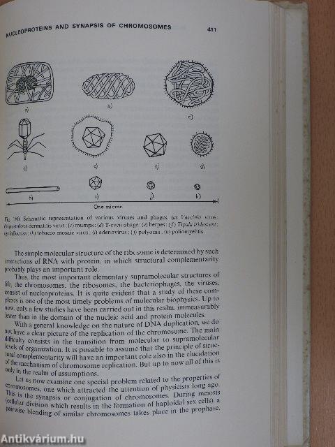 Molecules and Life