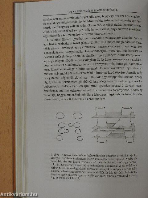 Mi a gubanc a fizikával?