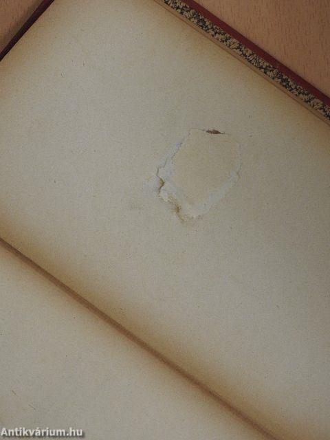 Les Voisins de Madame Bertrand