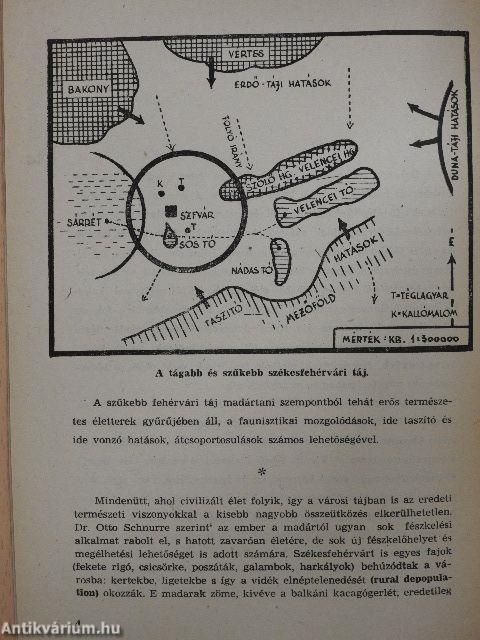 Székesfehérvár madárvilágáról