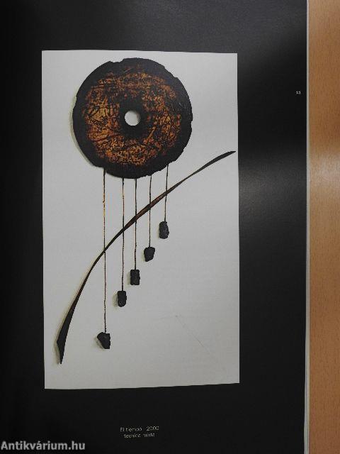 Territorios Insulares Artistas Venezolanos en Hungria