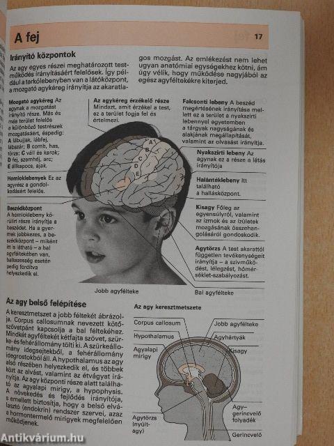 Gyermekbetegségek A-Z-ig