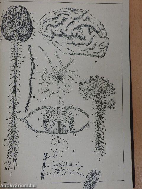 Psychologie I. (töredék)