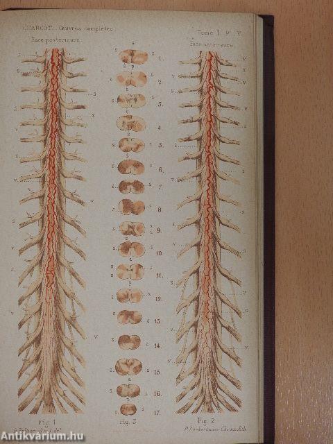 Oeuvres Complétes de J. M. Charcot I-II.