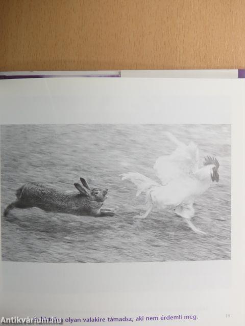 Nagyon elfoglalt emberek könyve