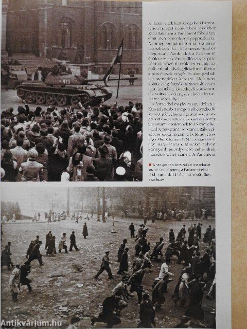 Rubicon 2010/9.